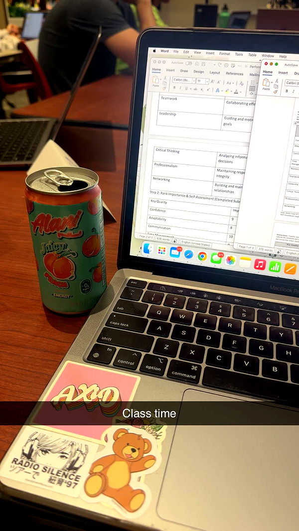 mia_sweitz image ~ Altpins