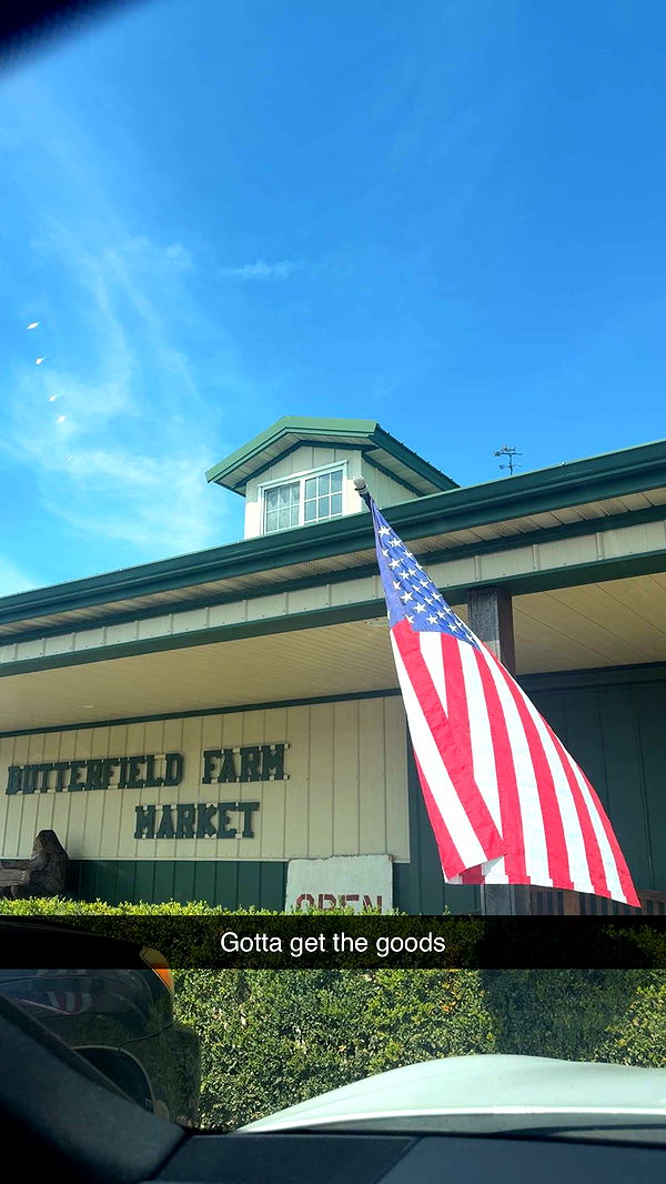 mia_sweitz image ~ Altpins