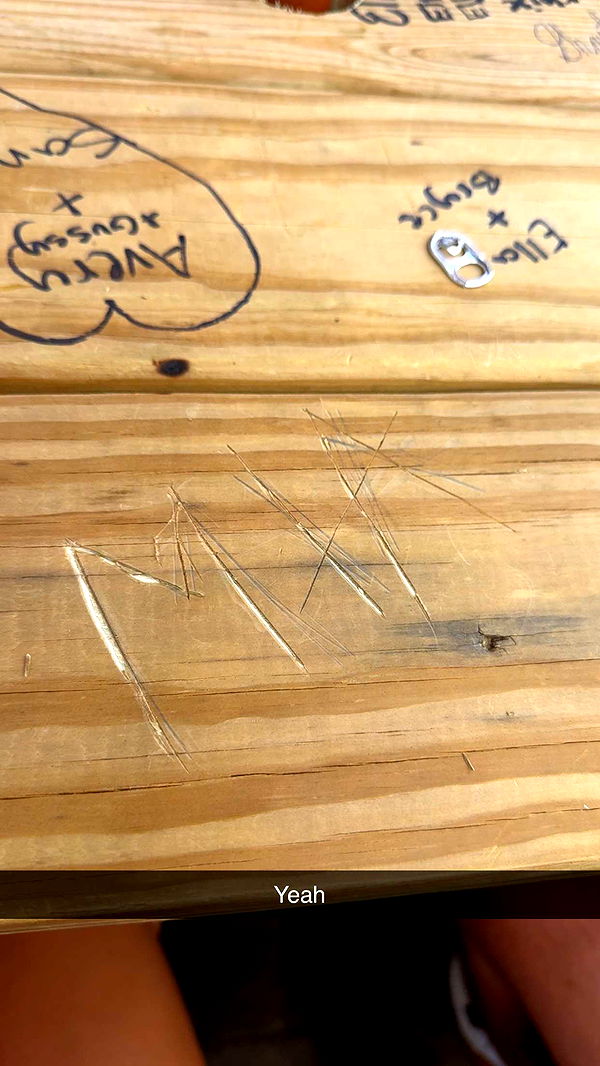 mia_sweitz image ~ Altpins