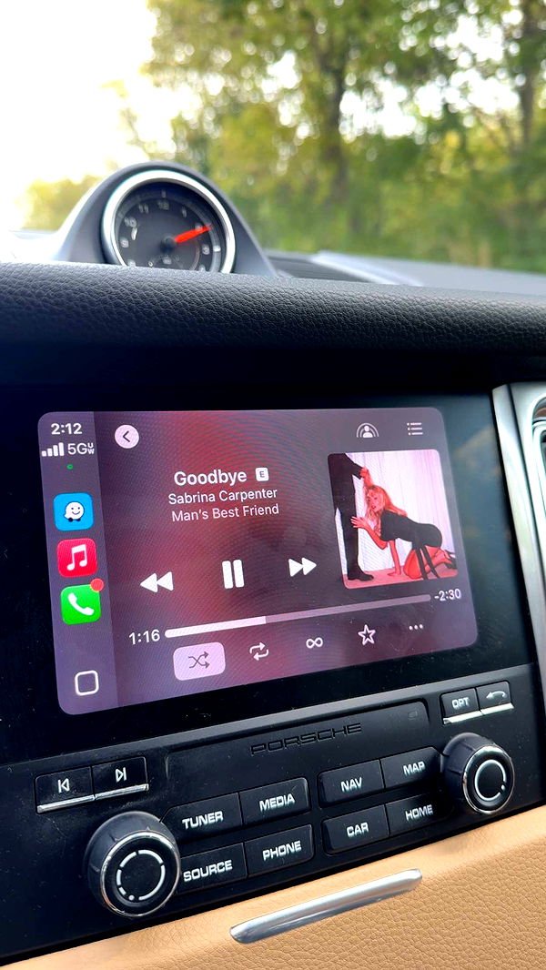 mia_sweitz image ~ Altpins