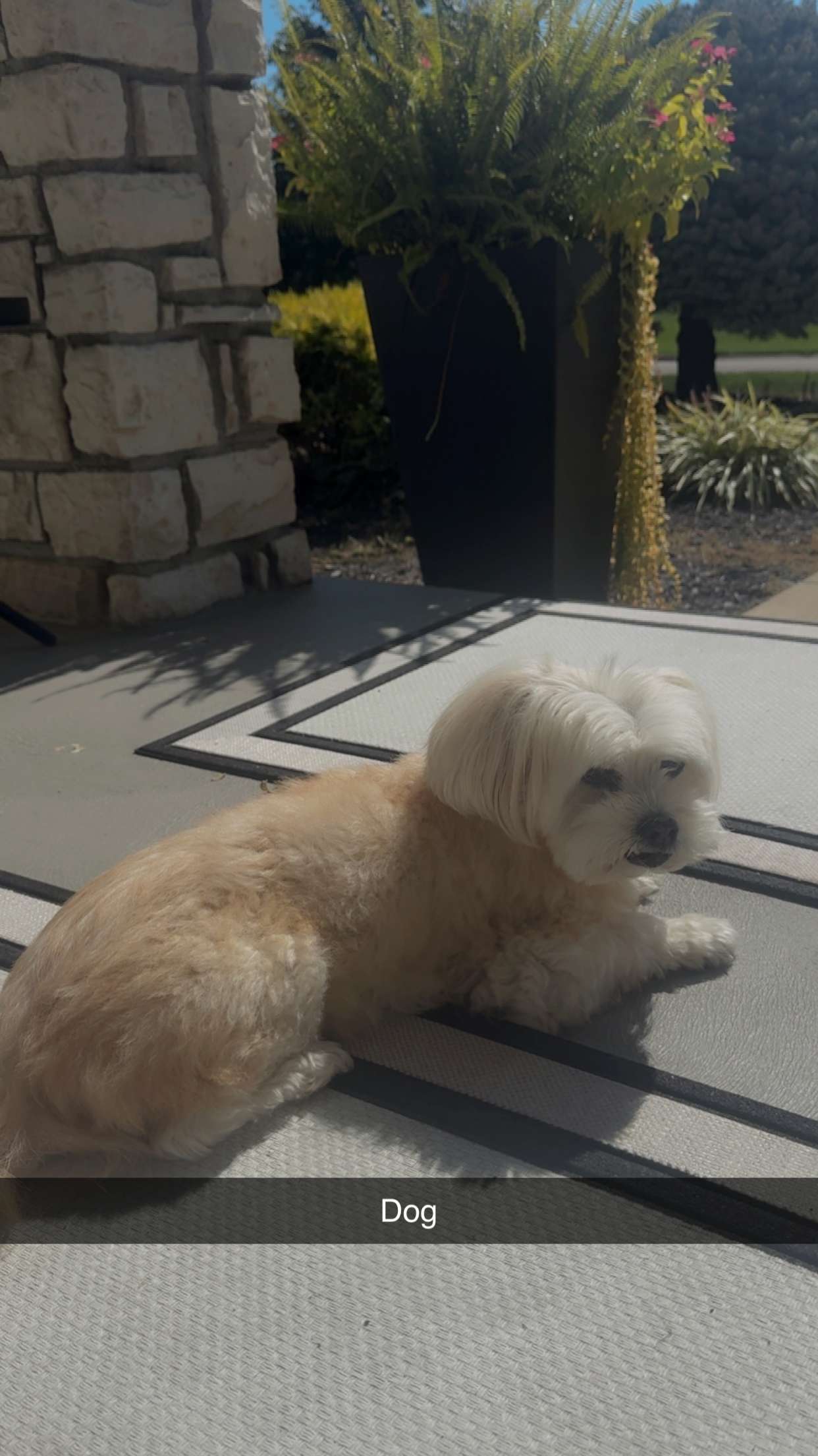 mia_sweitz snapchat image archive image