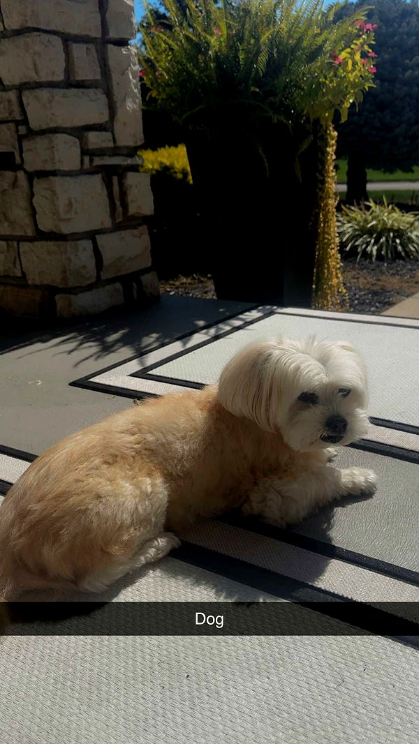 mia_sweitz image ~ Altpins