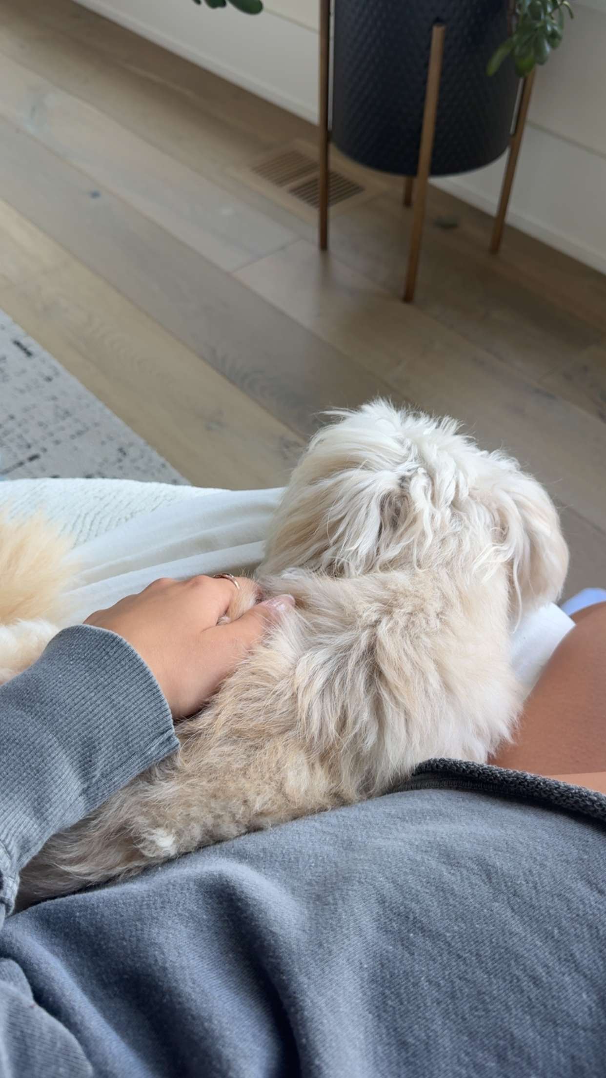 mia_sweitz snapchat image archive image