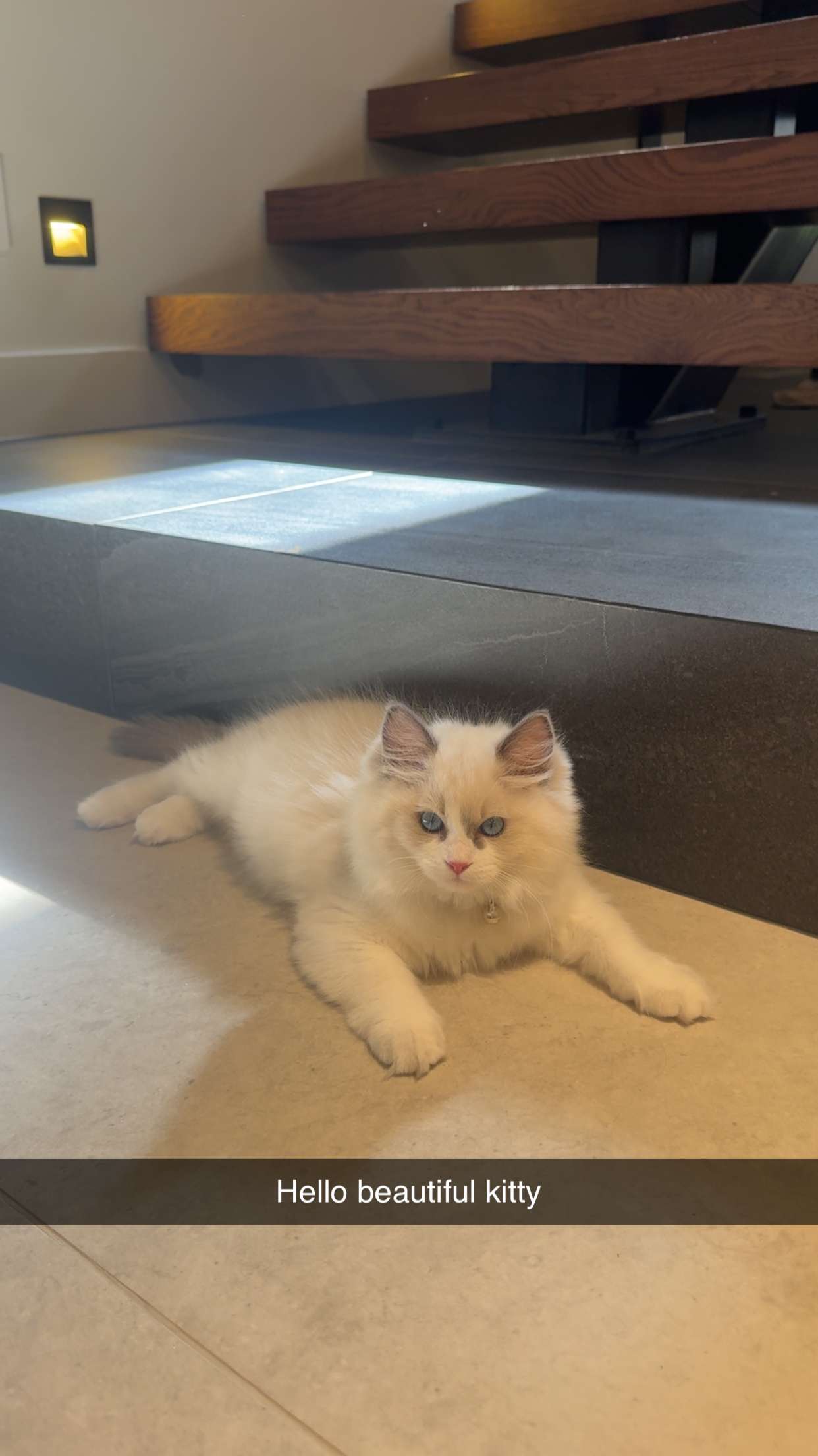 mia_sweitz snapchat image archive image