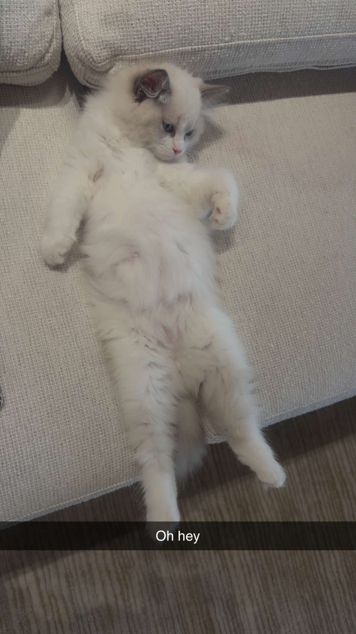 mia_sweitz snapchat image archive image