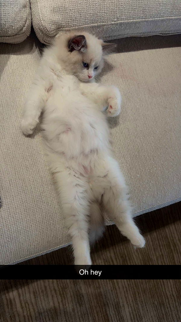 mia_sweitz image ~ Altpins