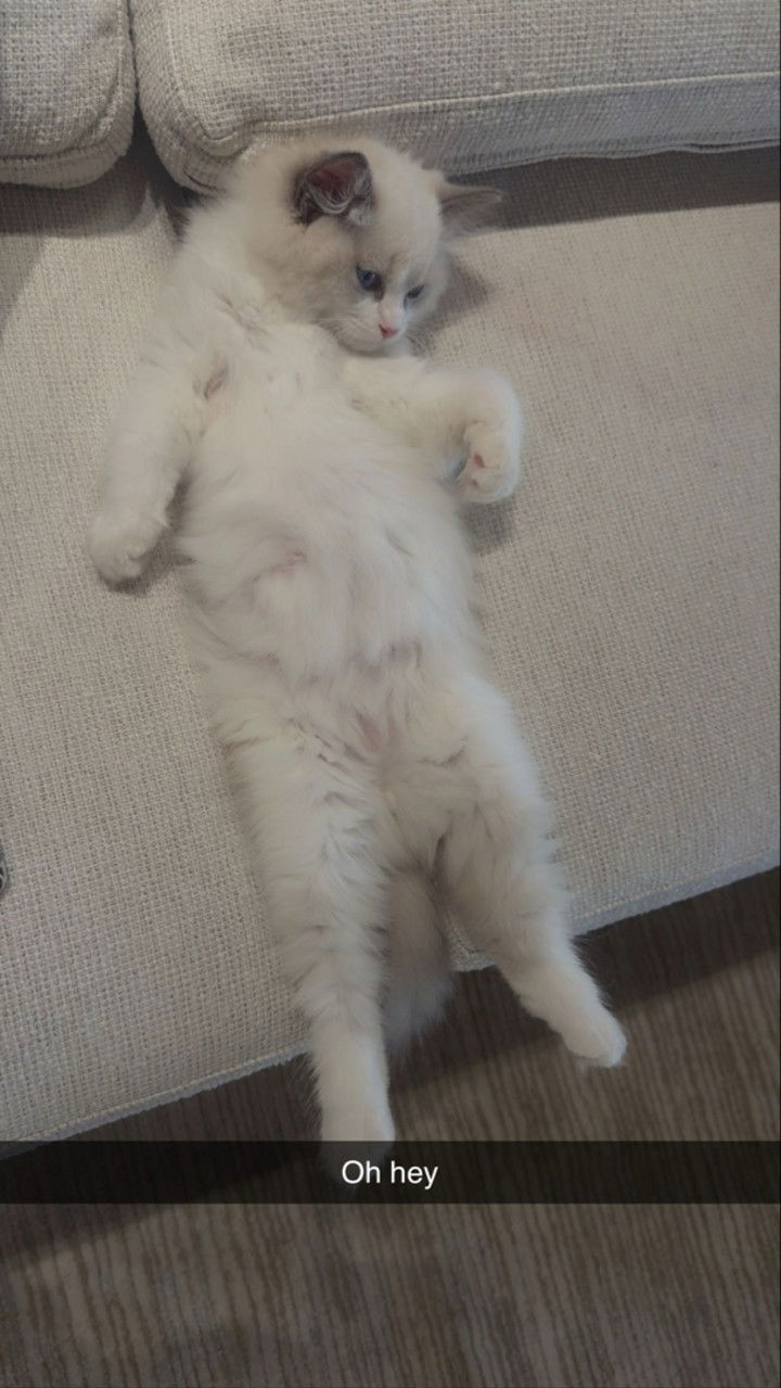 mia_sweitz snapchat image archive image