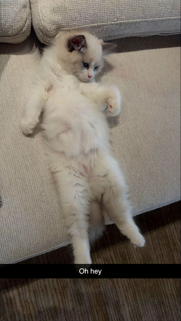 mia_sweitz image ~ Altpins