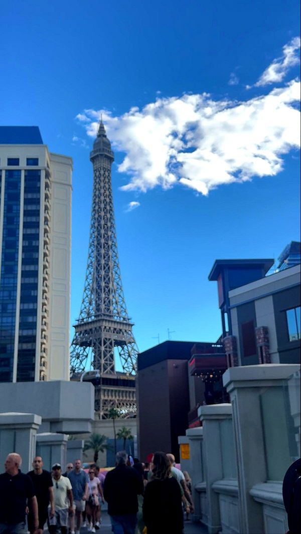 mia_sweitz image ~ Altpins