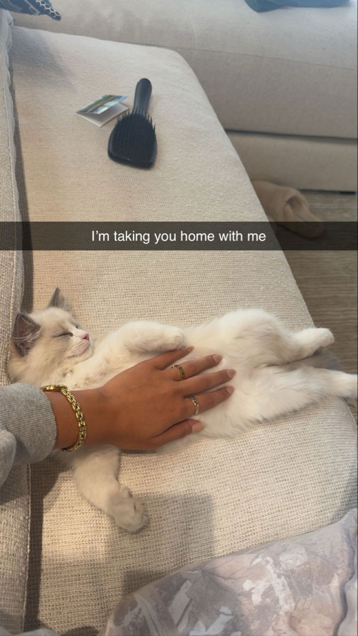 mia_sweitz snapchat image archive image