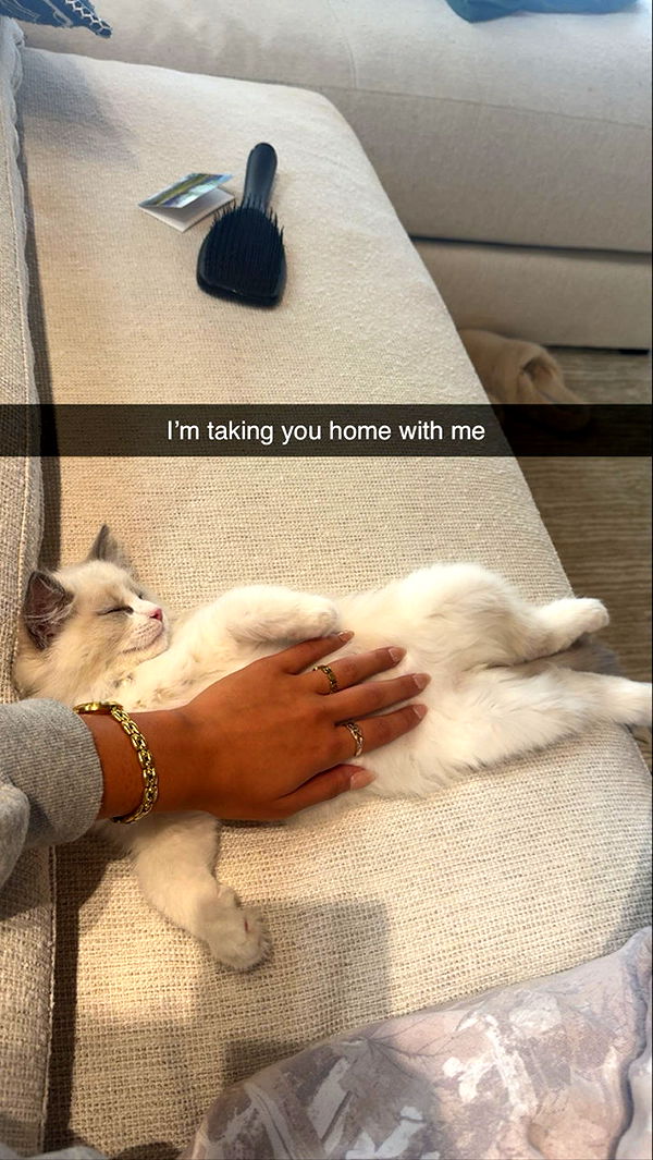 mia_sweitz image ~ Altpins