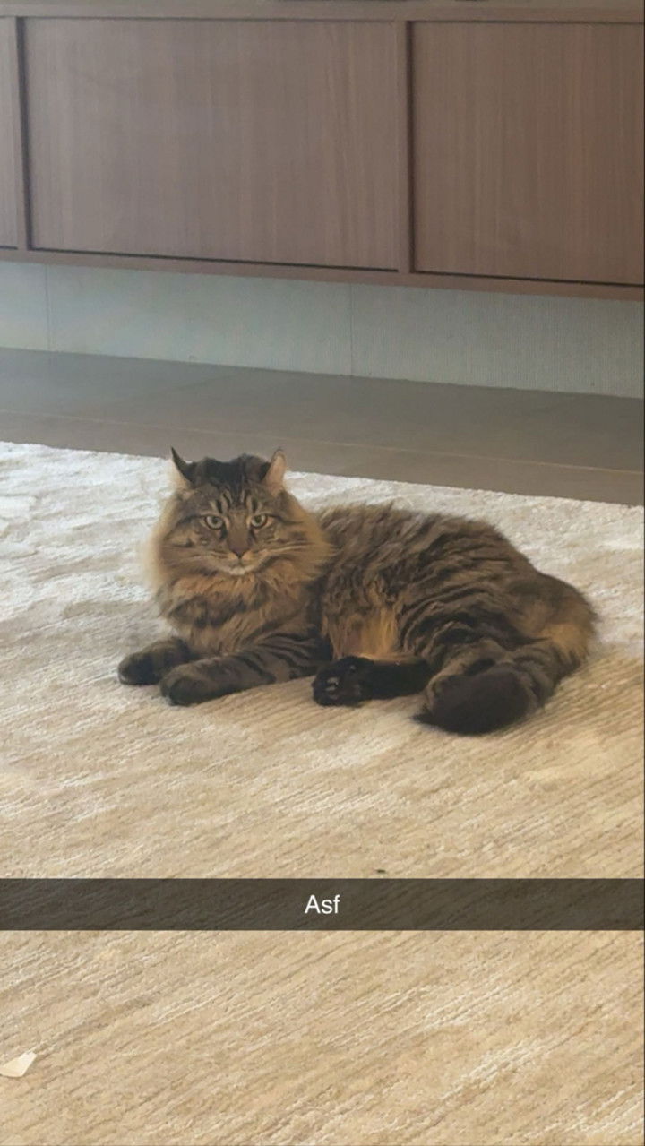 mia_sweitz snapchat image archive image