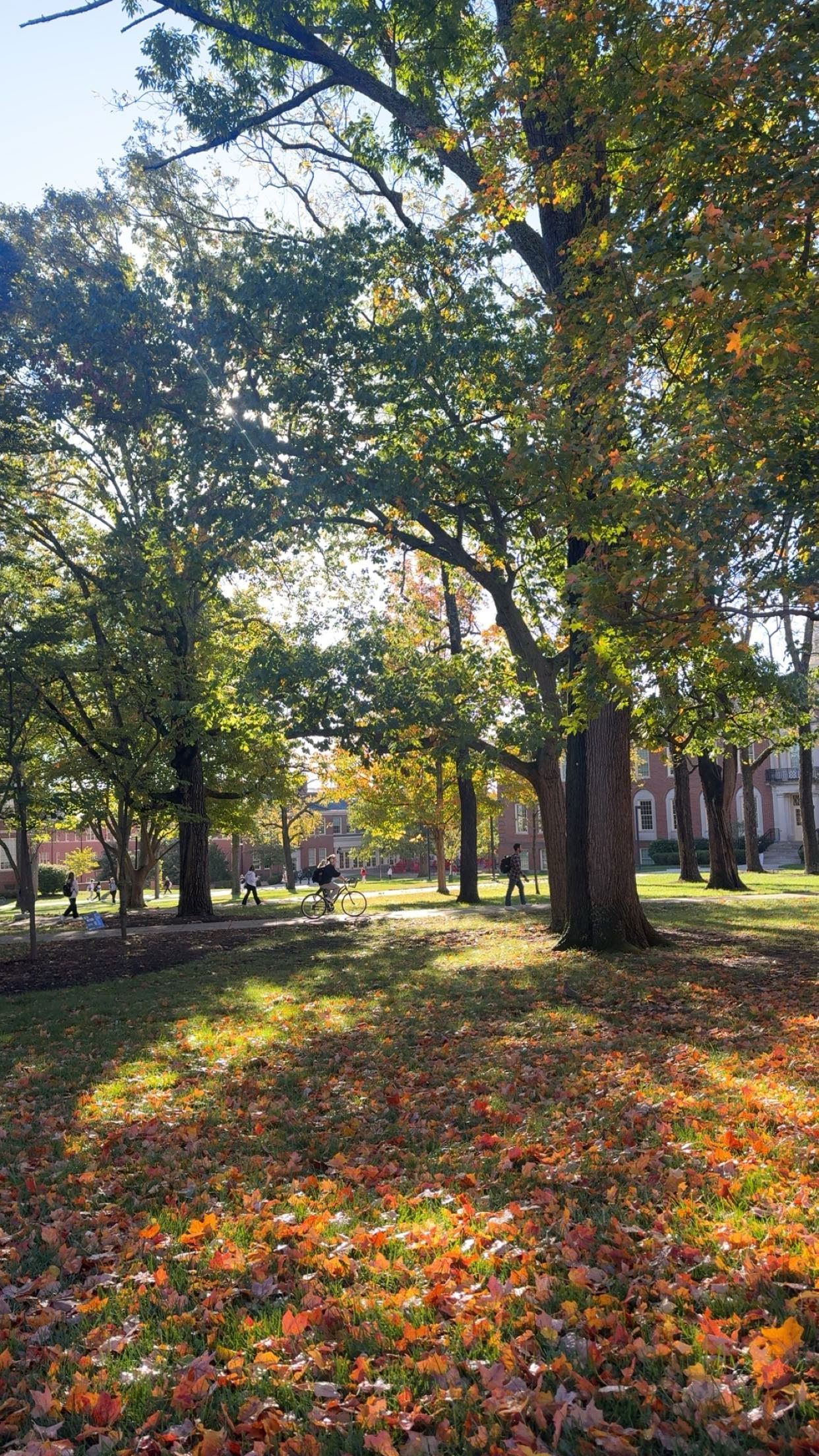 mia_sweitz snapchat image archive image