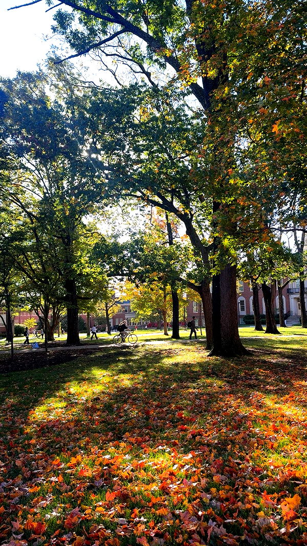 mia_sweitz image ~ Altpins