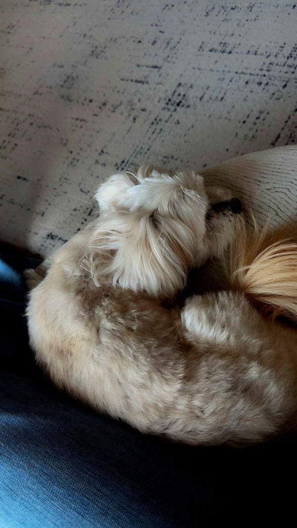 mia_sweitz image ~ Altpins