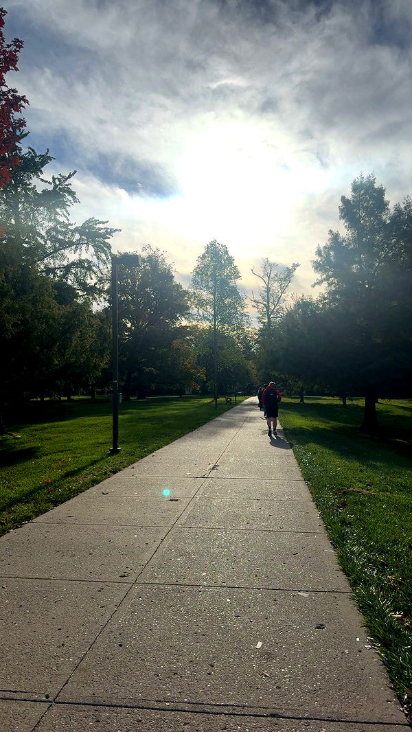 mia_sweitz image ~ Altpins