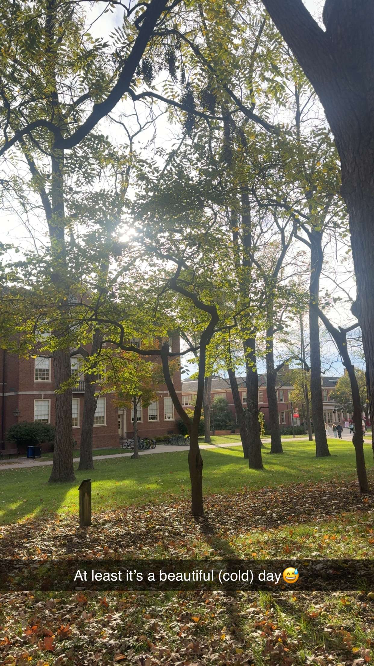 mia_sweitz snapchat image archive image