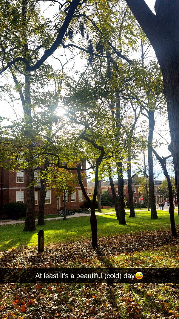 mia_sweitz image ~ Altpins