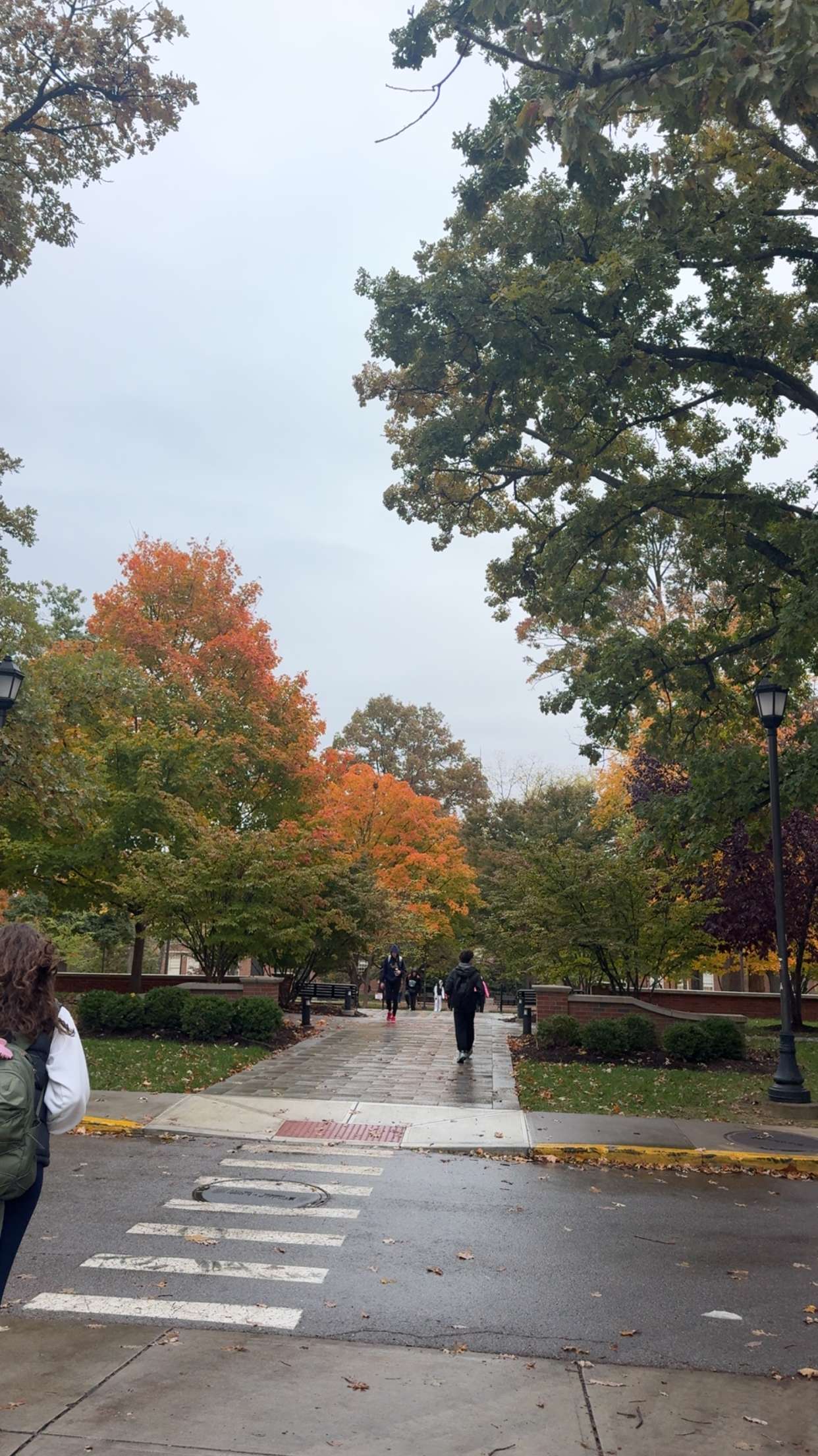 mia_sweitz snapchat image archive image