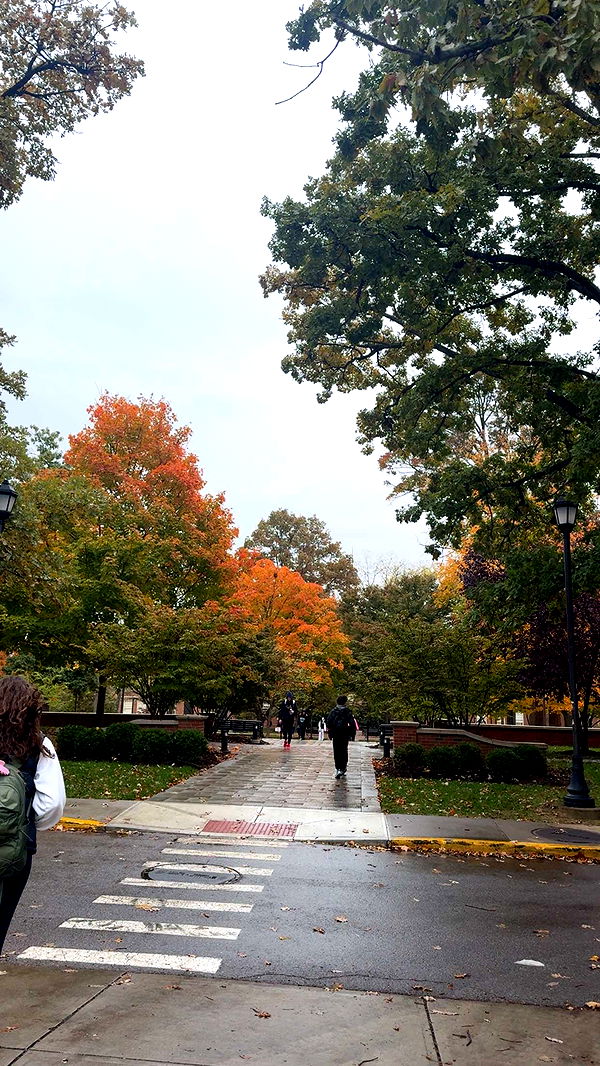 mia_sweitz image ~ Altpins