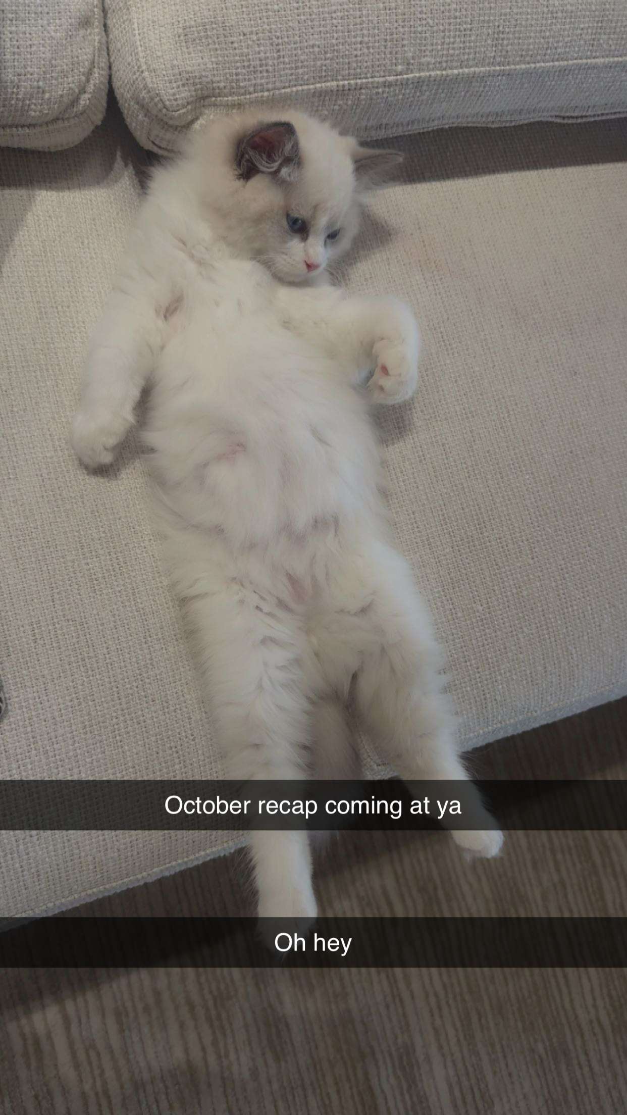 mia_sweitz snapchat image archive image