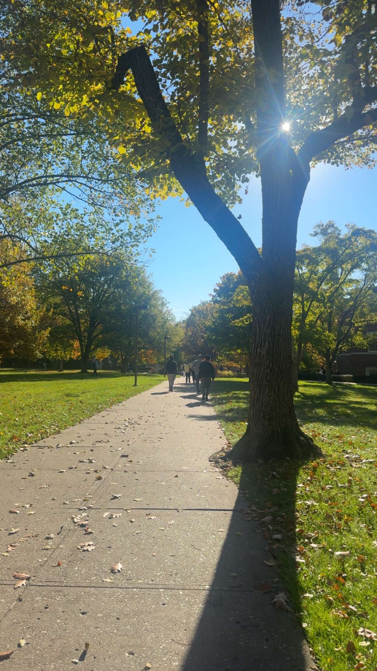 mia_sweitz snapchat image archive image