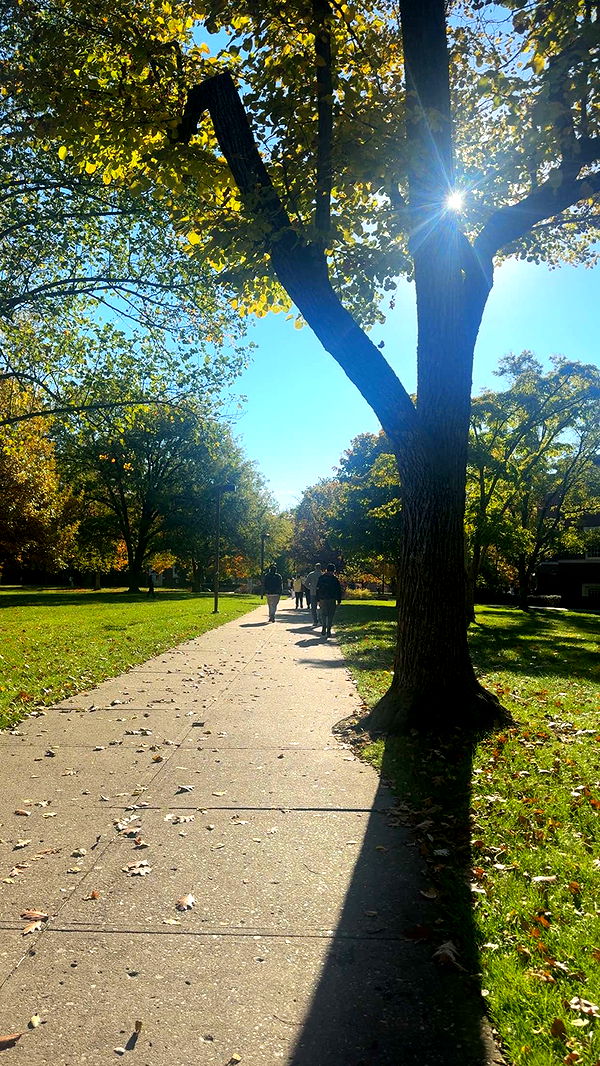 mia_sweitz image ~ Altpins