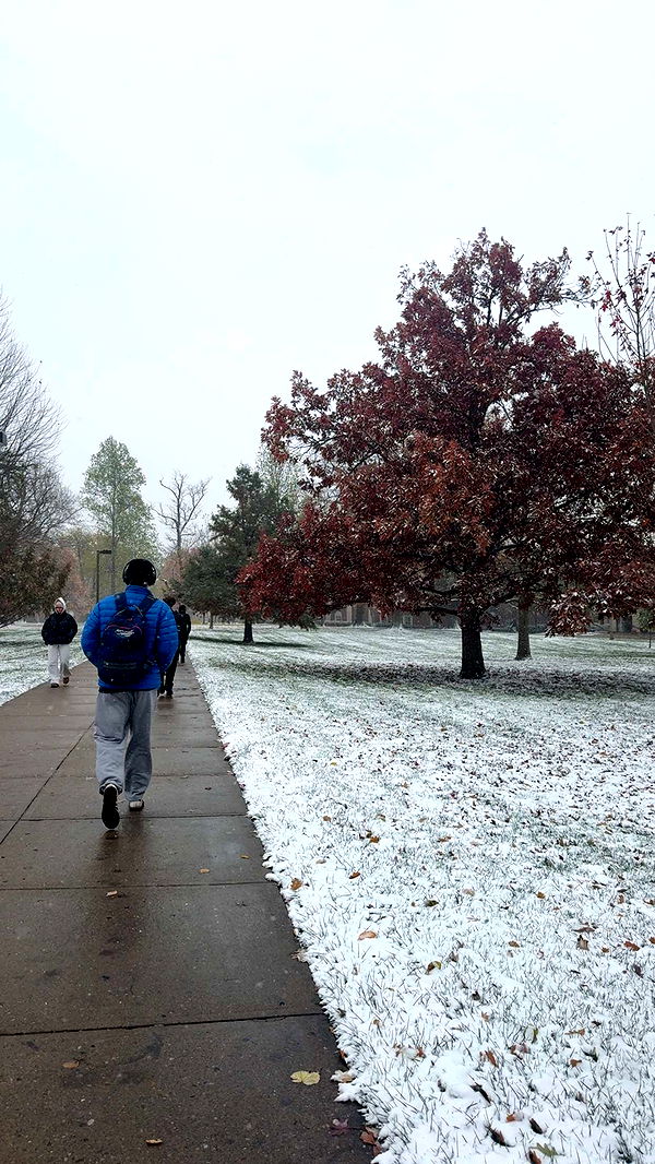 mia_sweitz image ~ Altpins