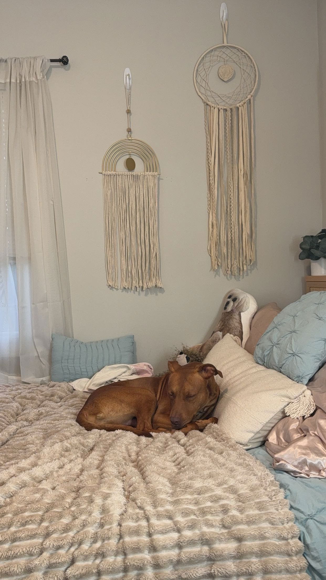 mia_sweitz snapchat image archive image