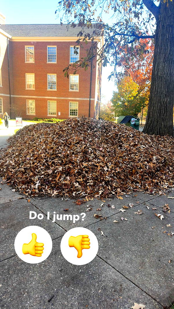 mia_sweitz image ~ Altpins