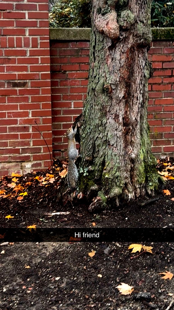 mia_sweitz image ~ Altpins