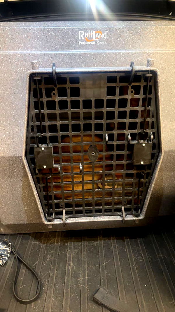 miahuffmann image ~ Altpins