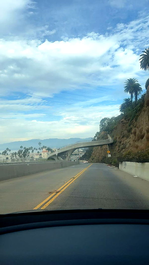 miahuffmann image ~ Altpins