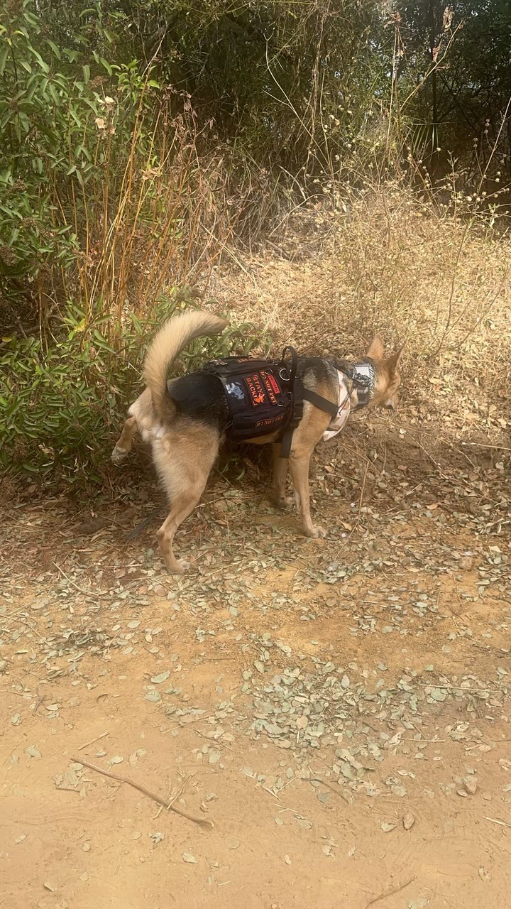 miahuffmann snapchat image archive image