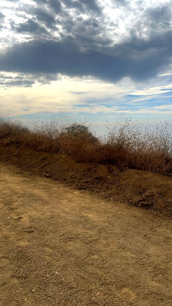 miahuffmann image ~ Altpins