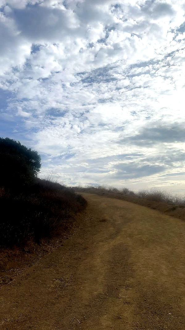 miahuffmann image ~ Altpins