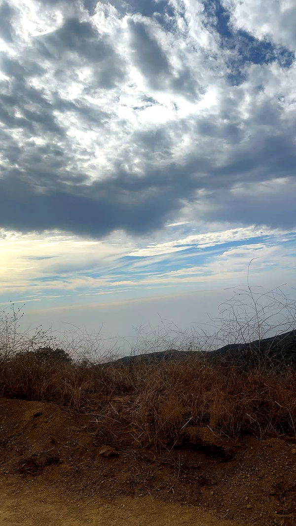 miahuffmann image ~ Altpins