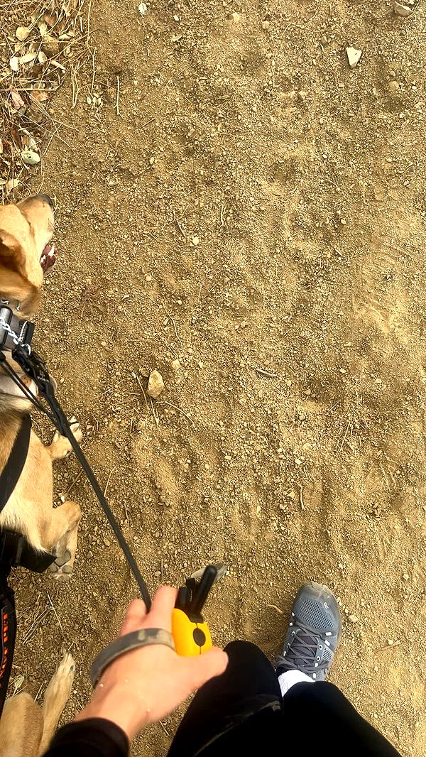 miahuffmann image ~ Altpins