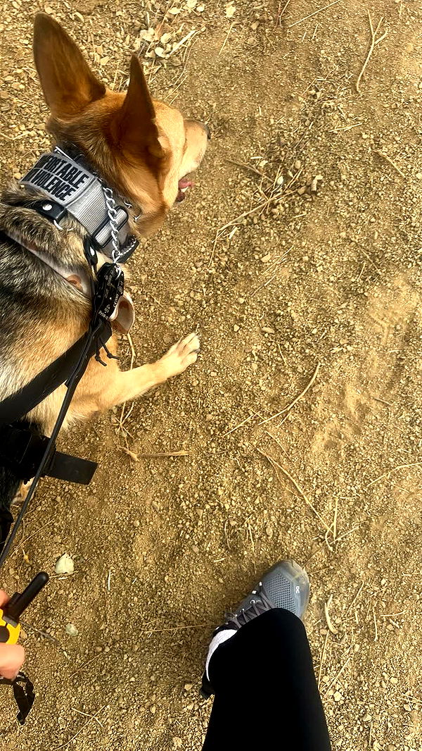 miahuffmann image ~ Altpins