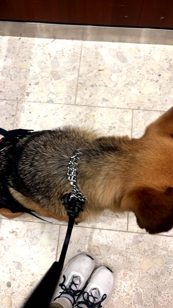 miahuffmann image ~ Altpins