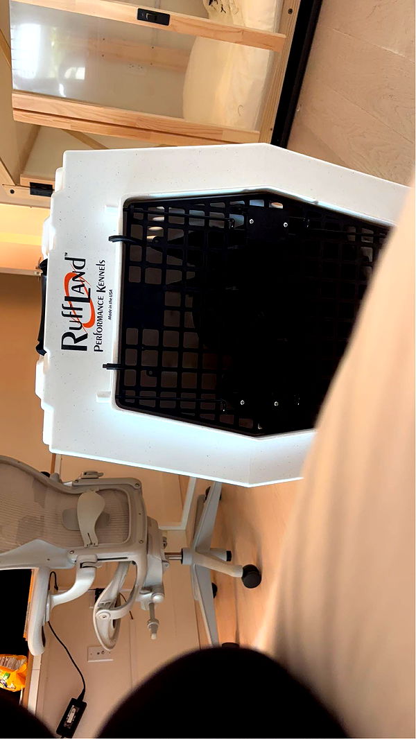 miahuffmann image ~ Altpins