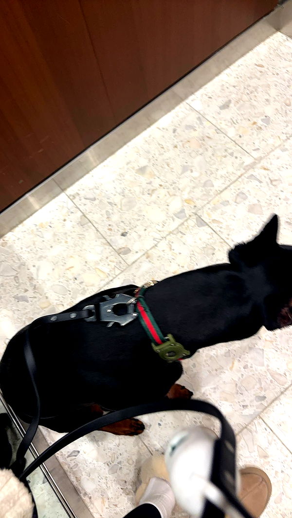 miahuffmann image ~ Altpins