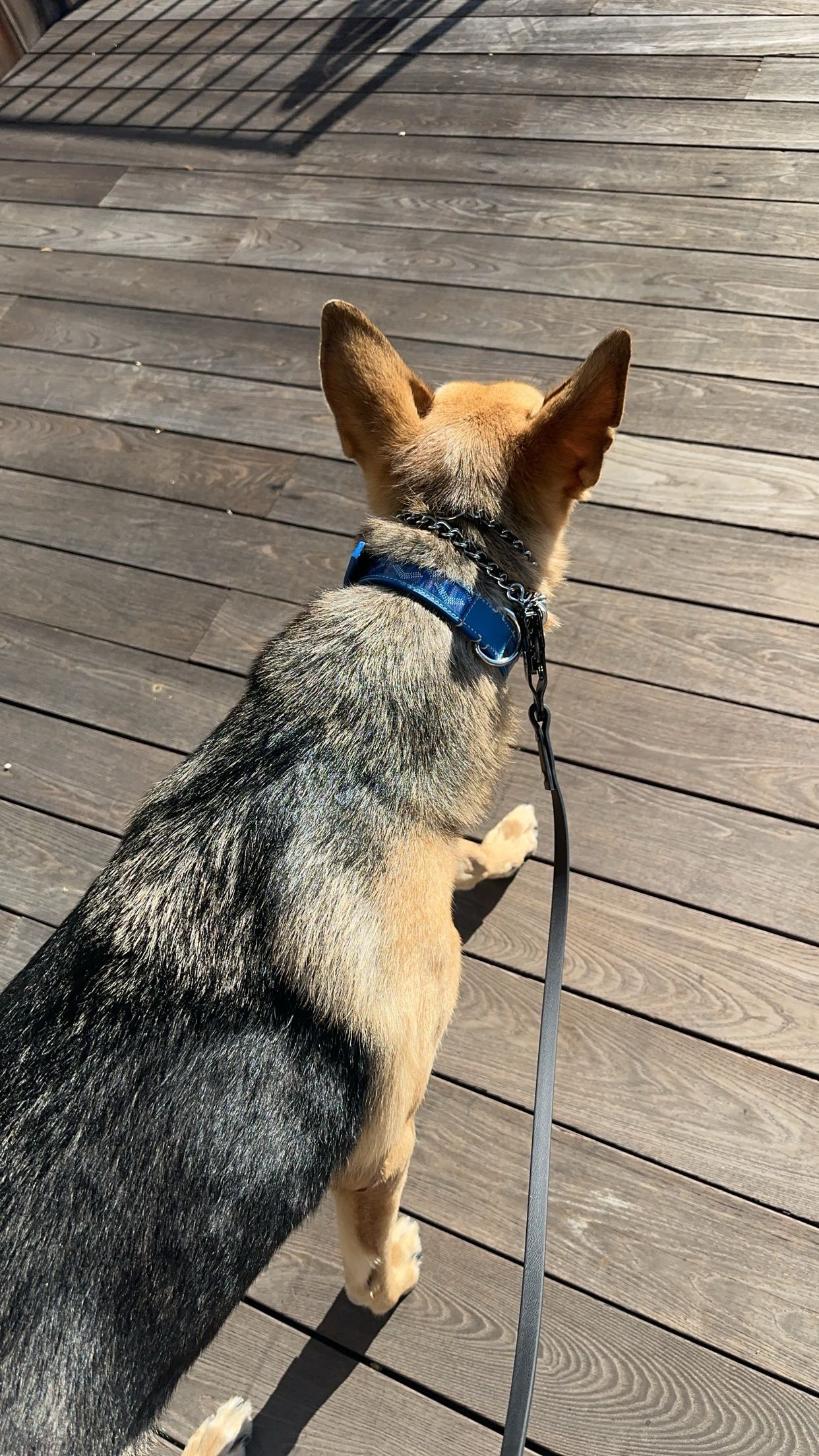 miahuffmann snapchat image archive image