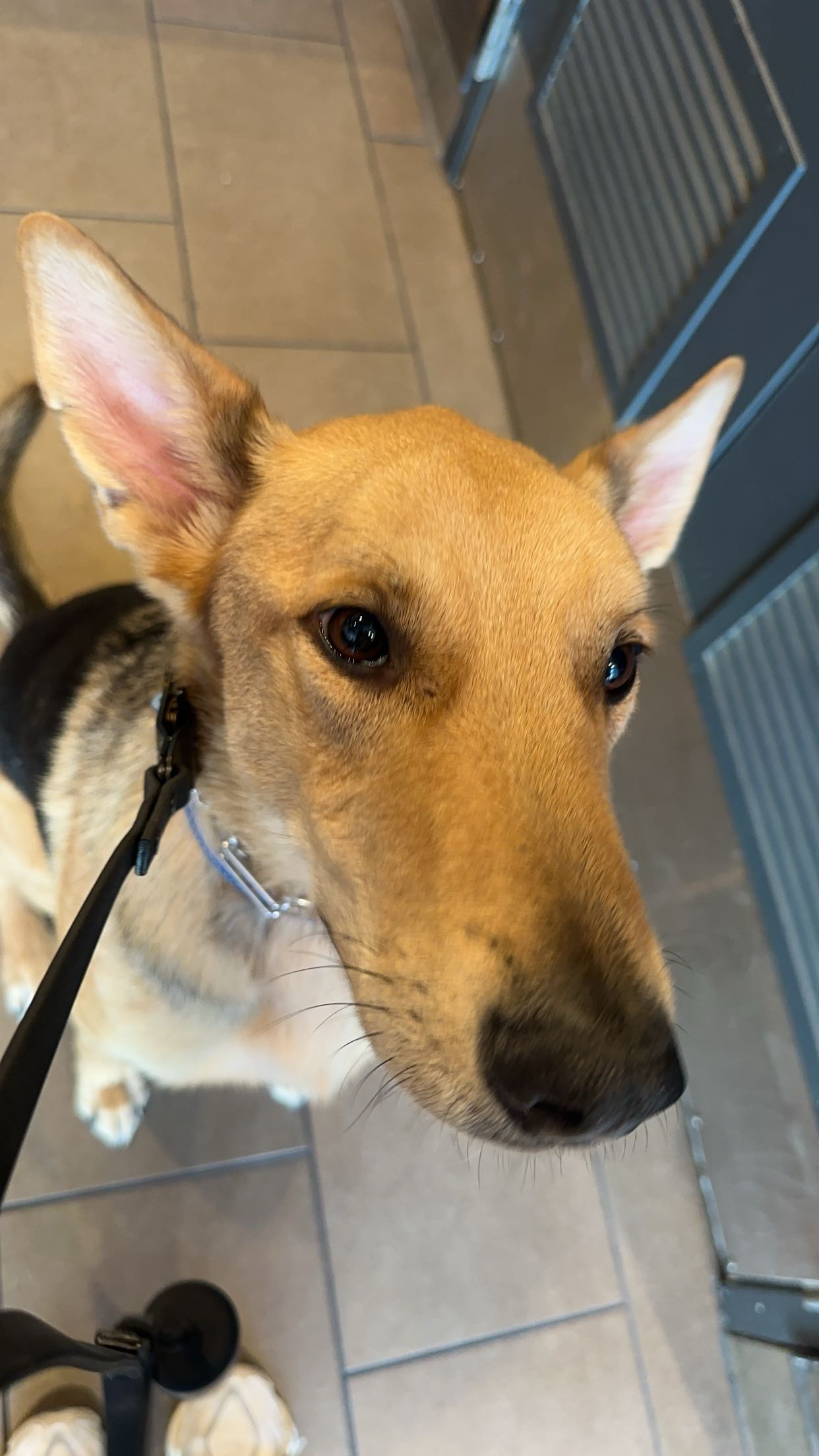 miahuffmann snapchat image archive image