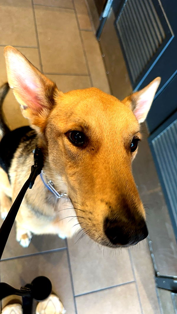 miahuffmann image ~ Altpins