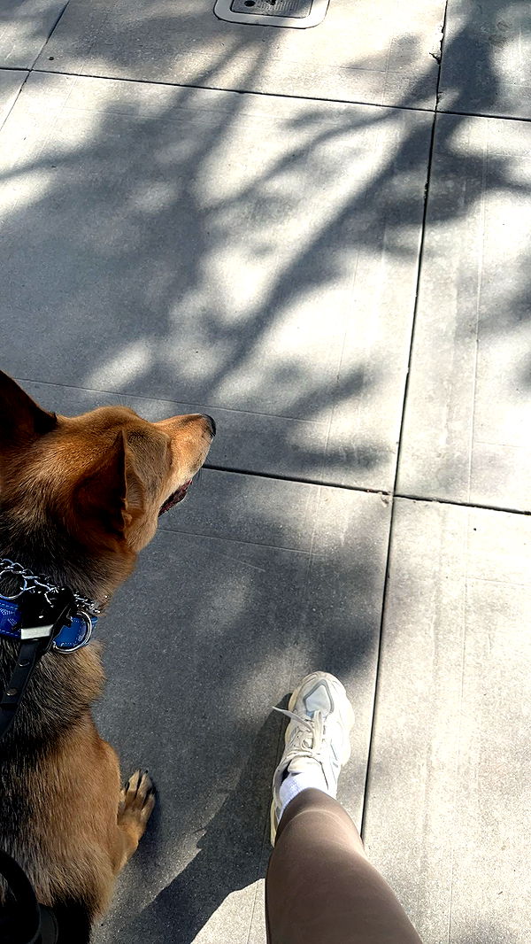 miahuffmann image ~ Altpins