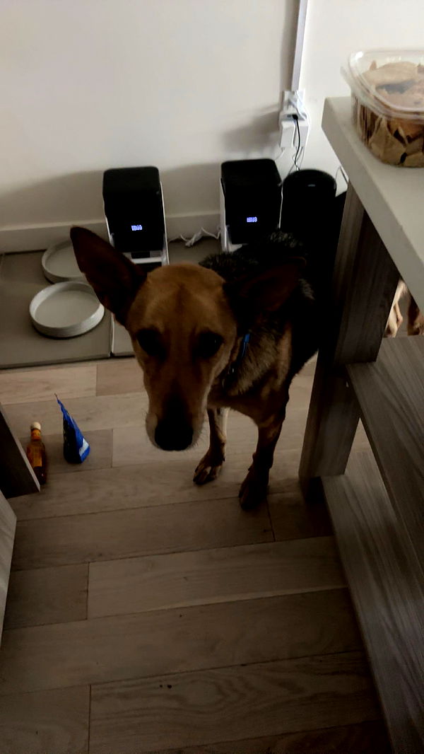 miahuffmann image ~ Altpins