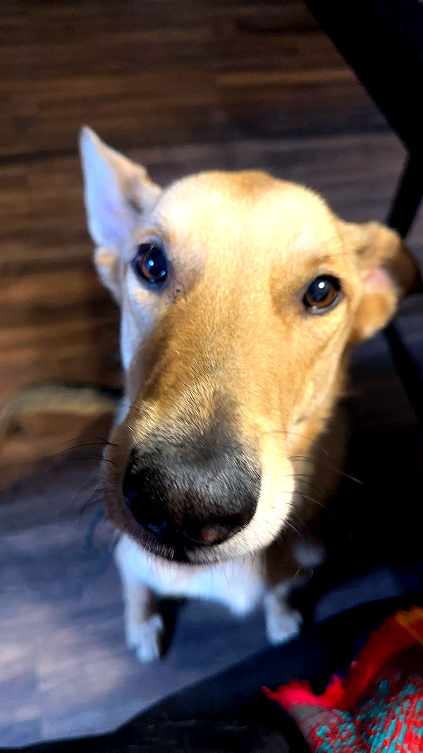 miahuffmann image ~ Altpins