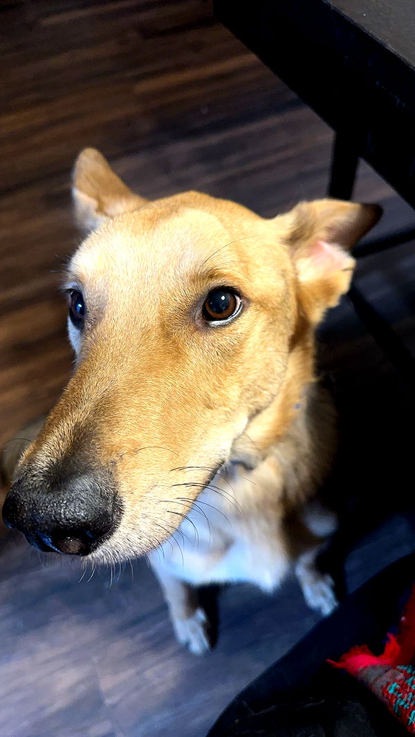 miahuffmann image ~ Altpins