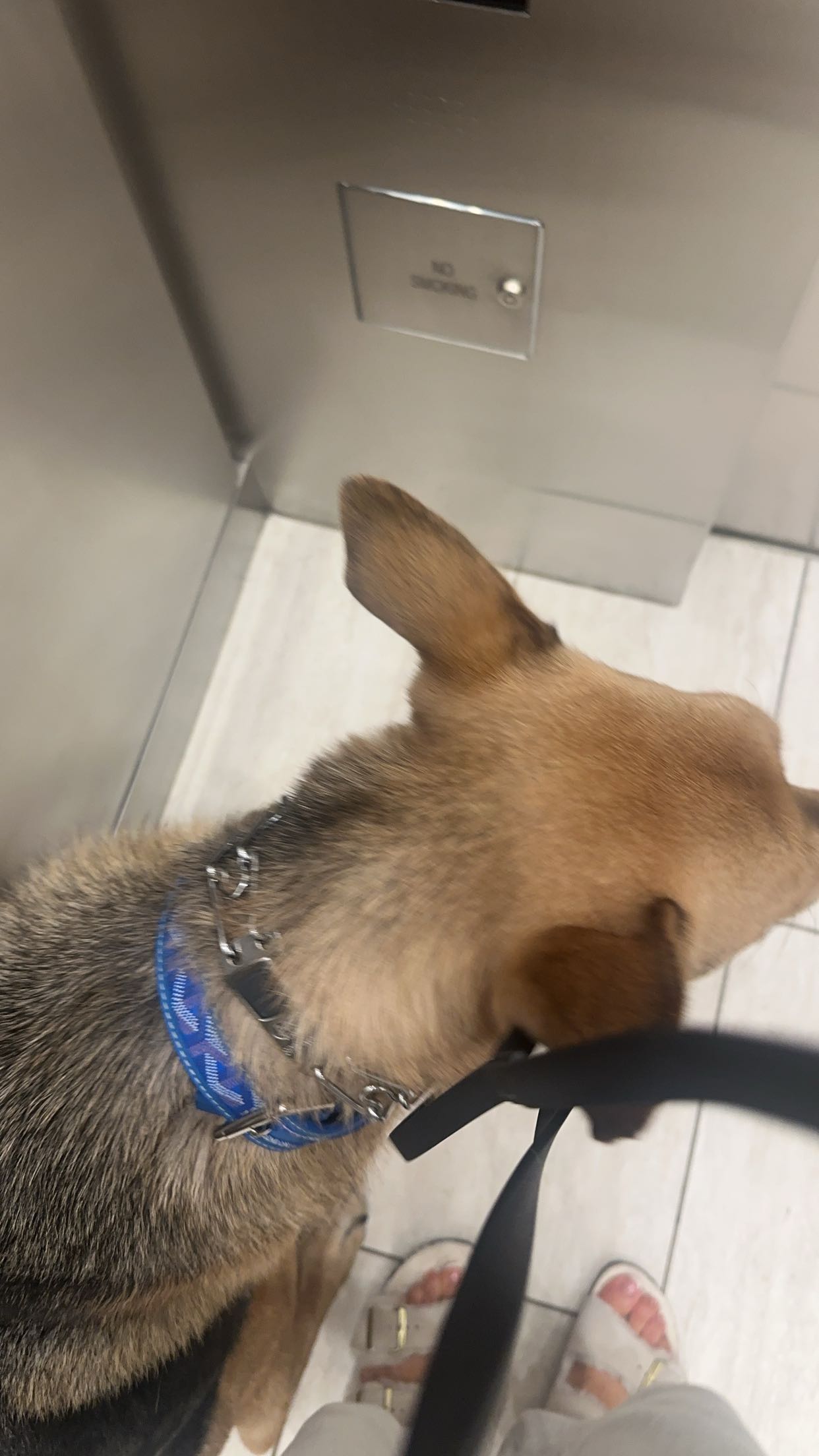 miahuffmann snapchat image archive image